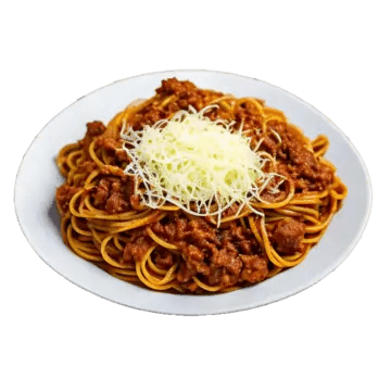 Bolonez