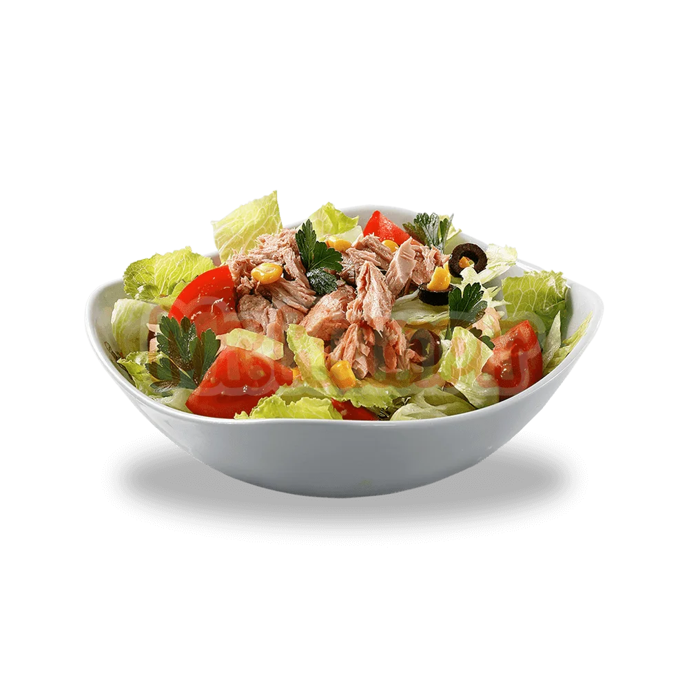 Ton Balıklı Salata
